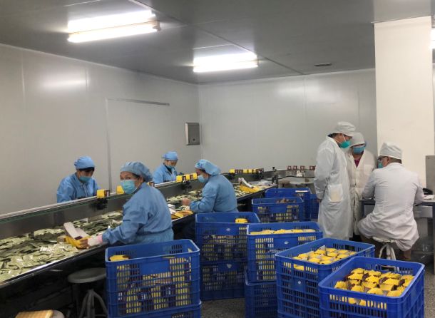 【初心如磐，使命在肩】海洋之神hy590第三党支部组织员工提前复工保险出产
